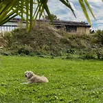 Annette's And Garden * فريدريشسهافن