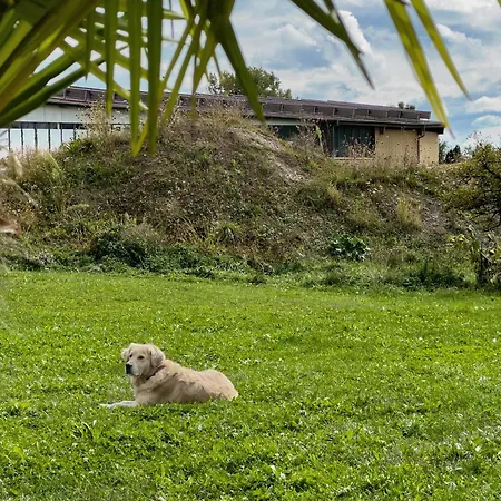 Annette's And Garden *