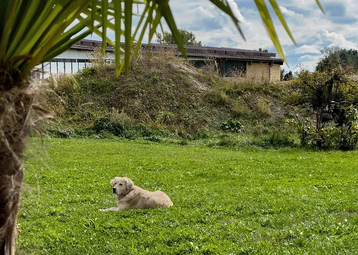 Annette's And Garden *